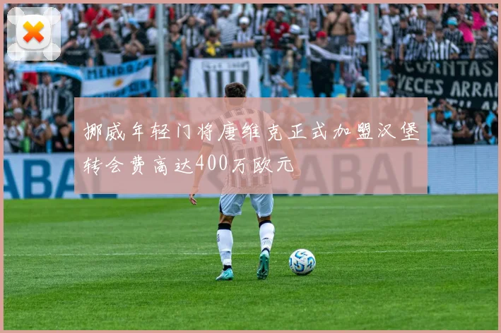 挪威年轻门将唐维克正式加盟汉堡转会费高达400万欧元