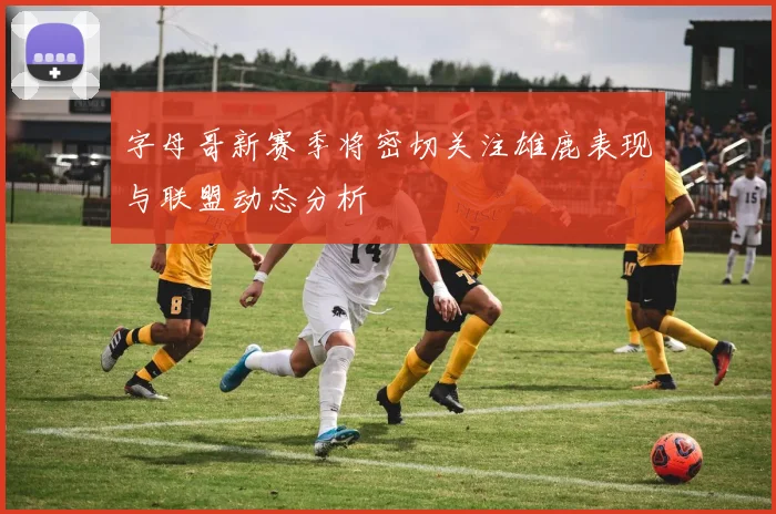 字母哥新赛季将密切关注雄鹿表现与联盟动态分析