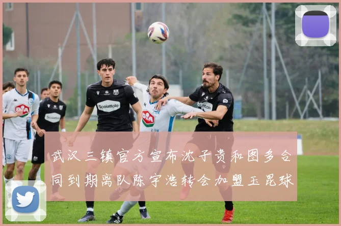 武汉三镇官方宣布沈子贵和图多合同到期离队陈宇浩转会加盟玉昆球队